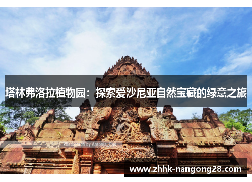 塔林弗洛拉植物园：探索爱沙尼亚自然宝藏的绿意之旅