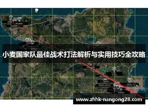 小麦国家队最佳战术打法解析与实用技巧全攻略