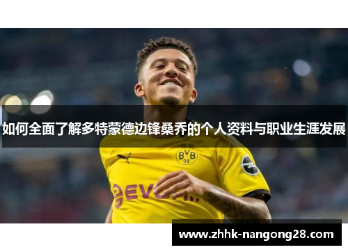如何全面了解多特蒙德边锋桑乔的个人资料与职业生涯发展