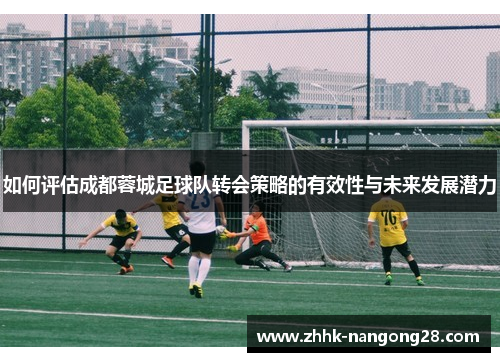 如何评估成都蓉城足球队转会策略的有效性与未来发展潜力