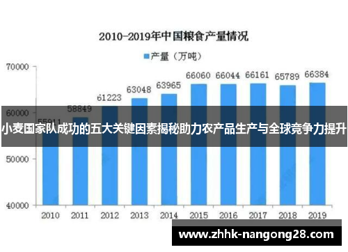 小麦国家队成功的五大关键因素揭秘助力农产品生产与全球竞争力提升